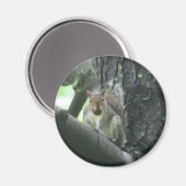 Aimant Écureuil dans l'aimant animal d'art d'arbre (Recto/Verso)