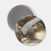 Aimant Écureuil de bébé (Recto/Verso)