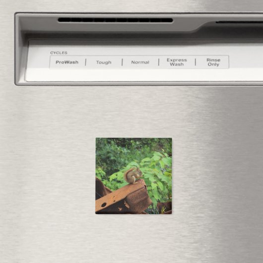 Aimant Écureuil de Camo (In Situ (Lave-vaisselle))