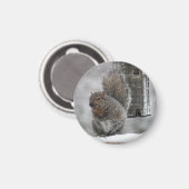 Aimant Écureuil de Noël (Recto/Verso)