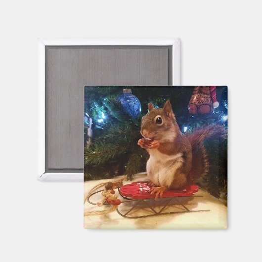 Aimant Écureuil de Noël (Recto/Verso)
