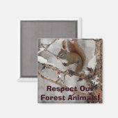 Aimant Écureuil d'hiver, neige et baies rouges Conception (Recto/Verso)