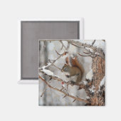 Aimant Écureuil d'hiver, neige et baies rouges Conception (Recto/Verso)