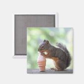 Aimant Écureuil mangeant un cône de glace (Recto/Verso)