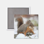 Aimant Écureuil mignon en neige avec cacahuète (Recto/Verso)