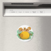 Aimant écureuils dans le patch citrouille (In Situ (Lave-vaisselle))