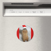 Aimant Écureuils de Noël (In Situ (Lave-vaisselle))