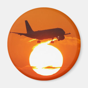 AIMANT EDDL0820