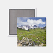 Aimant Edith Creek et prairies fleurs sauvages au Paradis (Recto/Verso)