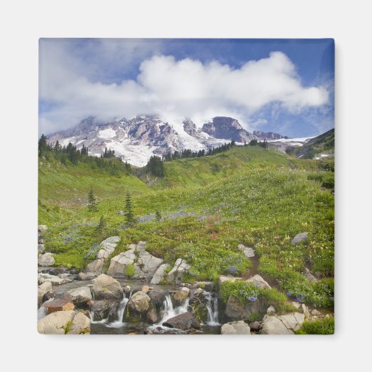 Aimant Edith Creek et prairies fleurs sauvages au Paradis (Devant)