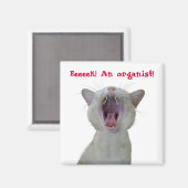 Aimant Eeek ! Un organiste ! (Recto/Verso)