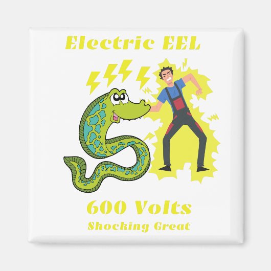 Aimant EEL électrique (Devant)