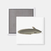 Aimant Eeltail (Recto/Verso)