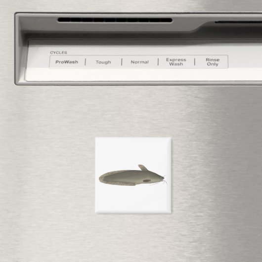 Aimant Eeltail (In Situ (Lave-vaisselle))