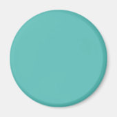 Aimant Eeucalyptus pastel bleu turquoise (Devant)