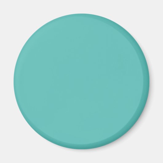 Aimant Eeucalyptus pastel bleu turquoise (Devant)