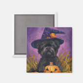 Aimant Éffrayant Affenpinscher Halloween sorcière et Citr (Recto/Verso)