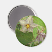 Aimant Eggplant Flowers (Recto/Verso)