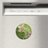 Aimant Eggplant Flowers (In Situ (Lave-vaisselle))