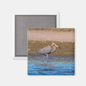 Aimant Egret rouge sur North Beach (Recto/Verso)