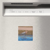 Aimant Egret rouge sur North Beach (In Situ (Lave-vaisselle))