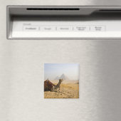 Aimant Egypte, Le Caire. Un chameau solitaire (In Situ (Lave-vaisselle))