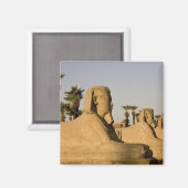Aimant Égypte, Louxor. L'Allée des Sphinx mène à (Recto/Verso)