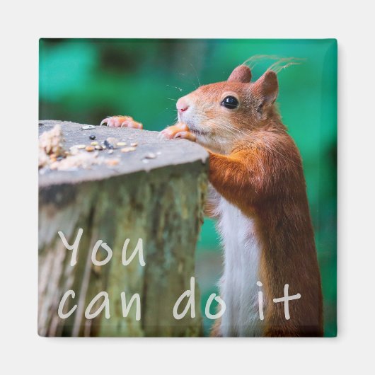 Aimant Eichhörnchen Motivationspruch (Devant)