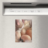 Aimant Eier sammeln (In Situ (Lave-vaisselle))