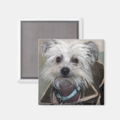 Aimant Einstein le chien (Recto/Verso)