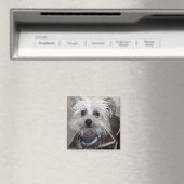 Aimant Einstein le chien (In Situ (Lave-vaisselle))