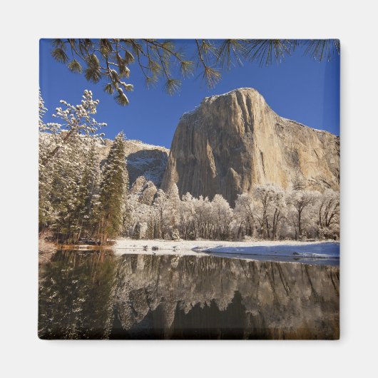 Aimant El Capitan se reflète dans la rivière Merced en (Devant)