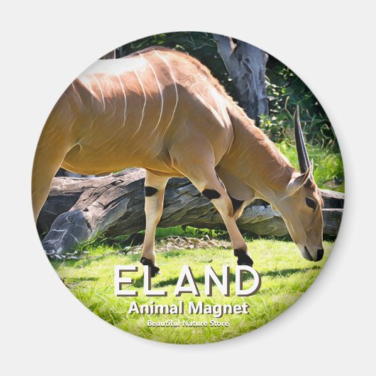 Aimant Eland (Devant)
