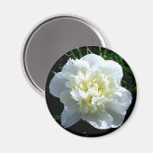 Aimant Elégant blanc peony floral blanc photo (Recto/Verso)
