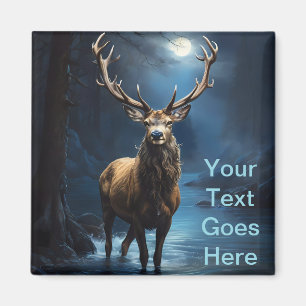 Aimant Elégant cerf de Bleu dans la rivière - Tranquille