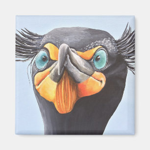 Aimant Élégant, Cormorant Double-Crêté