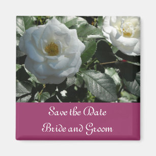Aimant Élégant Faire-Part de Rose Blanche