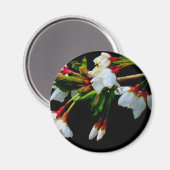 Aimant Élégant noir blanc fleuri blanc Blossom (Recto/Verso)