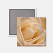 Aimant Élégant Rose ivoire (Recto/Verso)