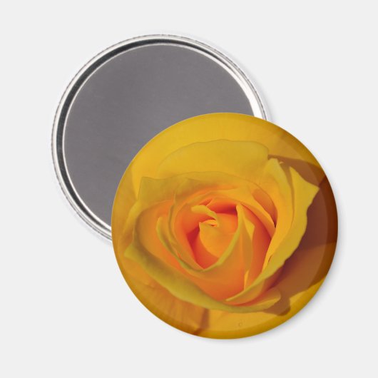 Aimant Élégante fleur florale Rose jaune (Recto/Verso)