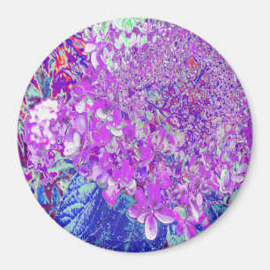 Aimant Élégante Hydrangée violette et bleu limelight