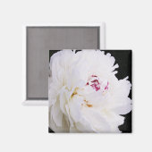 Aimant Elégante Peine Blanche Avec Violet (Recto/Verso)