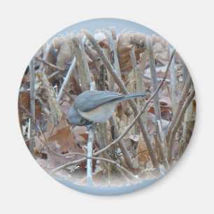 Aimant Éléments de coordination de l'oiseau-chanteur de s