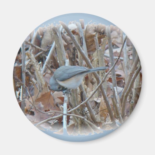 Aimant Éléments de coordination de l'oiseau-chanteur de s (Devant)