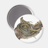 Aimant Eléments de coordination des serpents-garets de l' (Recto/Verso)