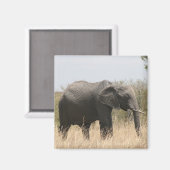 Aimant éléphant (Recto/Verso)