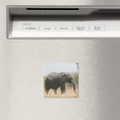 Aimant éléphant (In Situ (Lave-vaisselle))