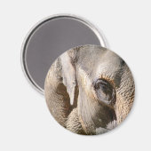 AIMANT ÉLÉPHANT (Recto/Verso)