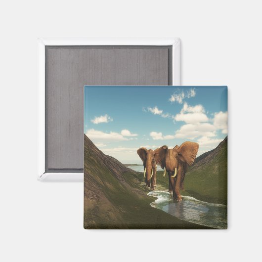 Aimant Eléphant (Recto/Verso)