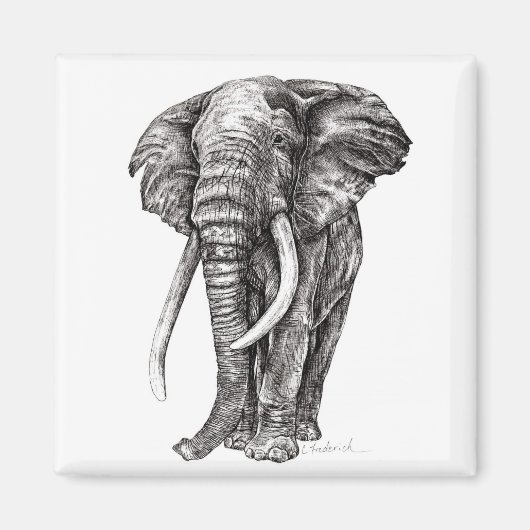 Aimant Eléphant (Devant)